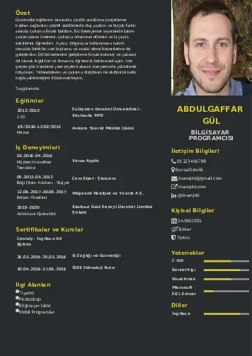 cv indir